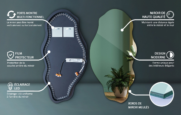 Spiegel organisch met licht modieus 40x80 cm