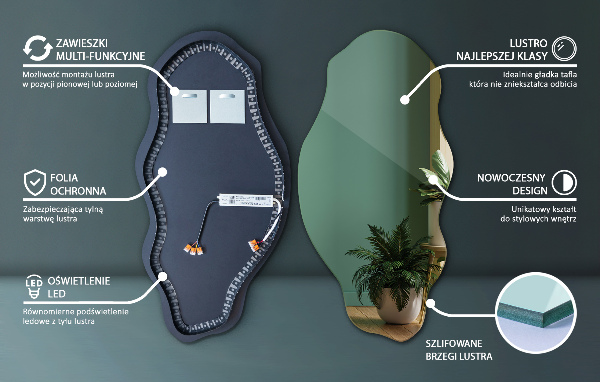 Organische spiegel met verlichting elegant 50x100 cm