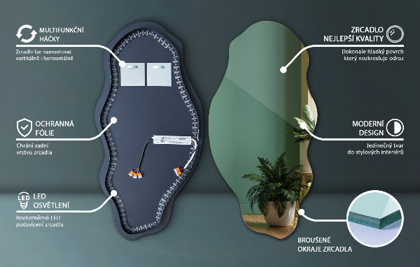 Organische spiegel met verlichting elegant 50x100 cm