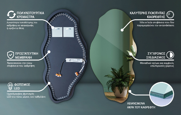 Organische spiegel met verlichting elegant 50x100 cm