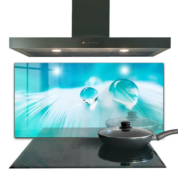 Spatplaat keuken Dauw op de tere veer