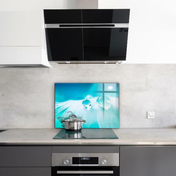 Spatplaat keuken Dauw op de tere veer