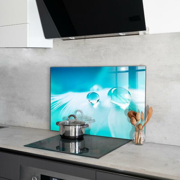 Spatplaat keuken Dauw op de tere veer