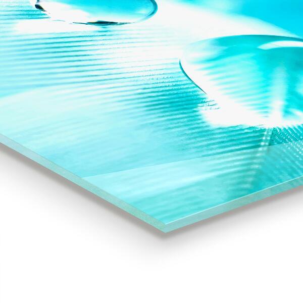 Spatplaat keuken Dauw op de tere veer