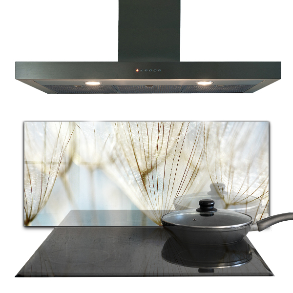 Spatscherm keuken glas Paardenbloem in de wind