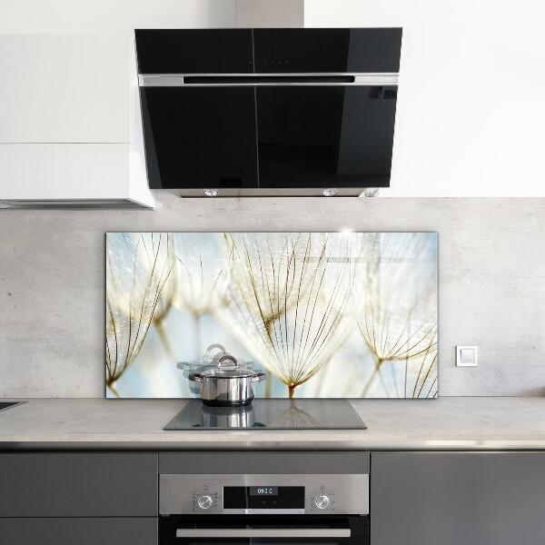 Spatscherm keuken glas Paardenbloem in de wind