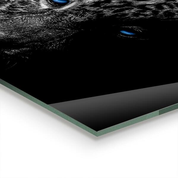 Spatscherm keuken glas Donkere Panter Wilde Kat