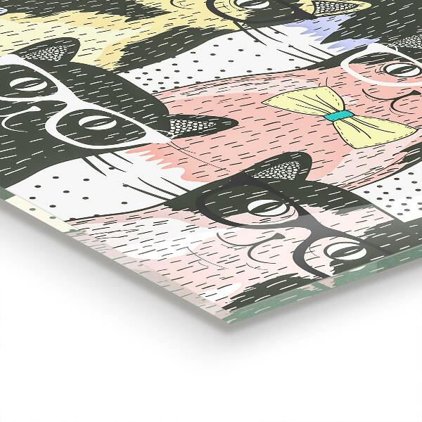 Spatscherm keuken glas Grappige illustratie van een hipsterkat