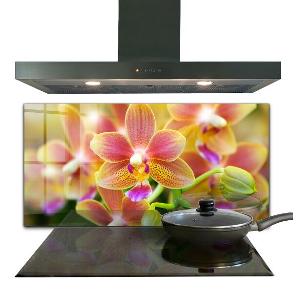 Keuken achterwand glas Oranje Orchidee