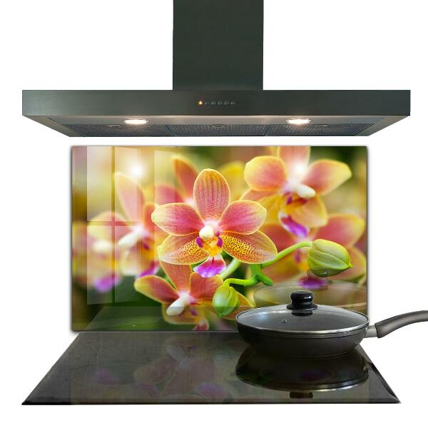 Keuken achterwand glas Oranje Orchidee