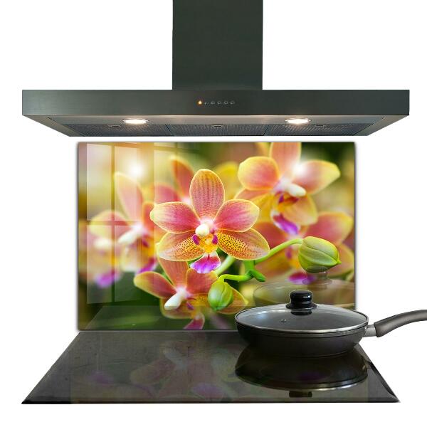 Keuken achterwand glas Oranje Orchidee