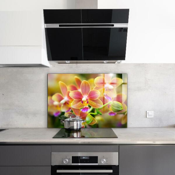 Keuken achterwand glas Oranje Orchidee