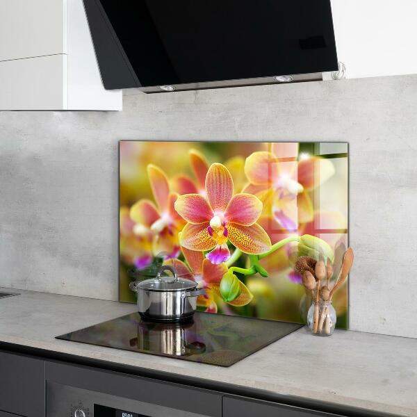 Keuken achterwand glas Oranje Orchidee