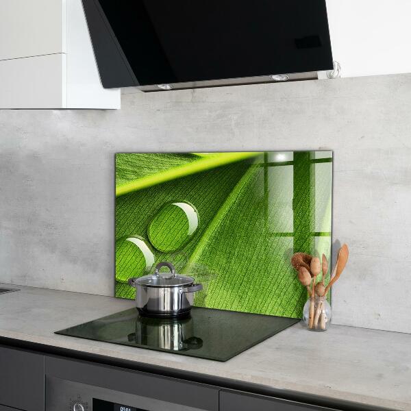 Foto achterwand keuken Dauwdruppel op een blad