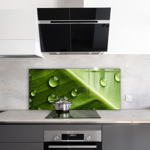 Foto achterwand keuken Blad met druppels ochtenddauw