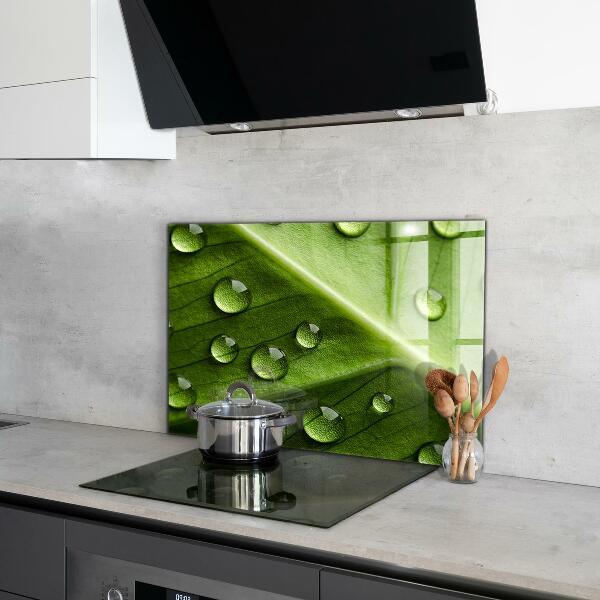 Foto achterwand keuken Blad met druppels ochtenddauw