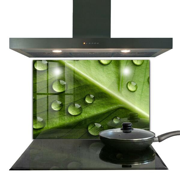 Foto achterwand keuken Blad met druppels ochtenddauw