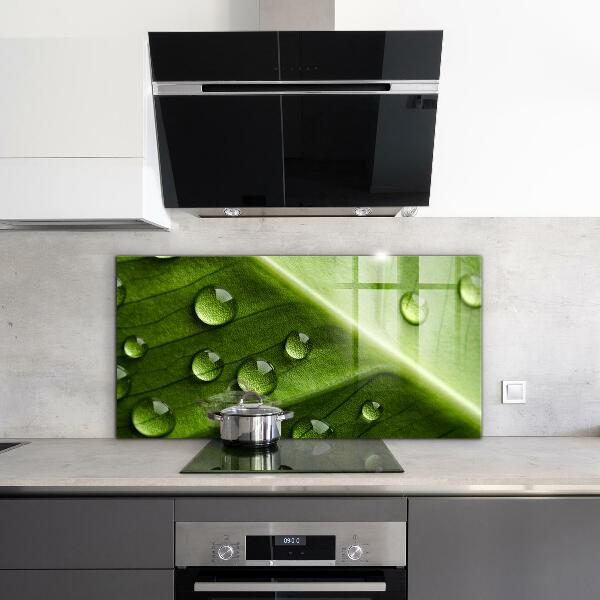 Foto achterwand keuken Blad met druppels ochtenddauw