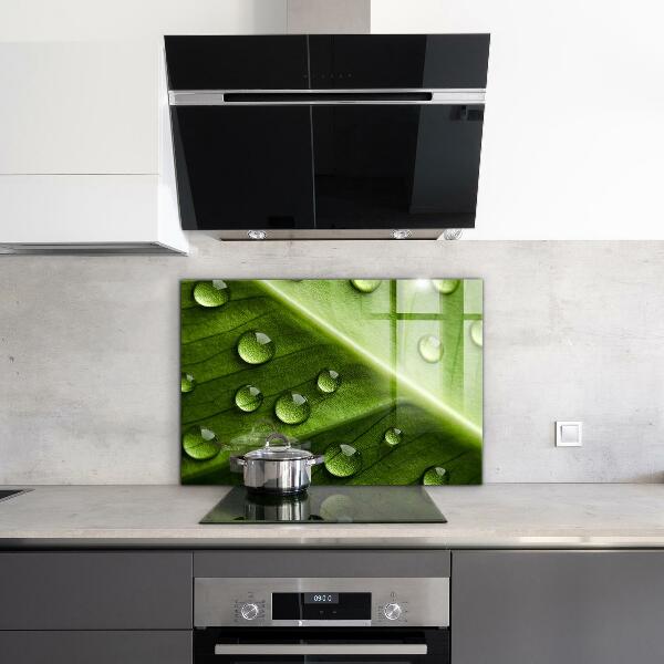 Foto achterwand keuken Blad met druppels ochtenddauw