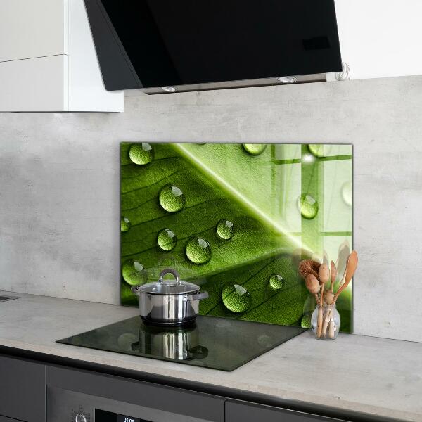 Foto achterwand keuken Blad met druppels ochtenddauw