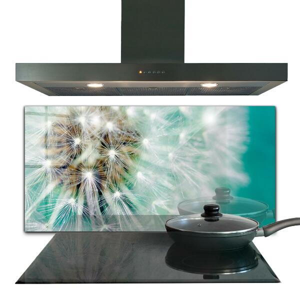 Spatplaat keuken Paardenbloem in de windplant