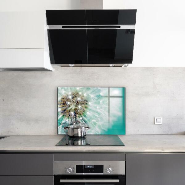 Spatplaat keuken Paardenbloem in de windplant