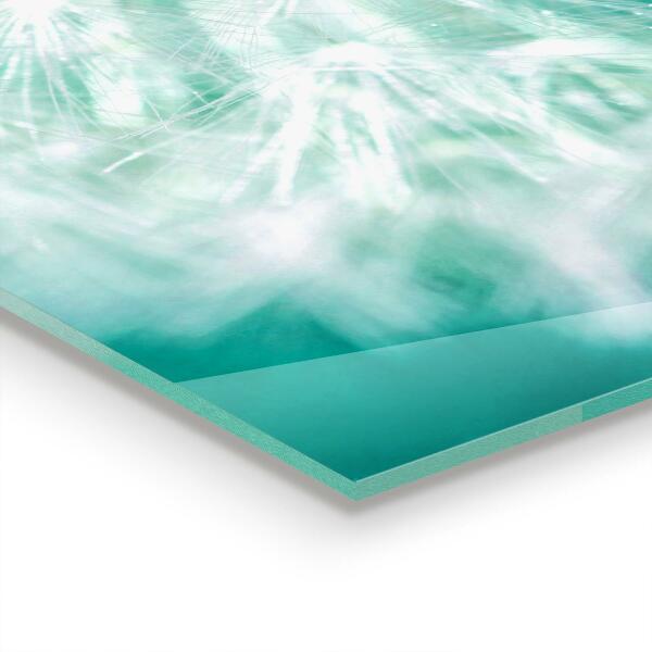 Spatplaat keuken Paardenbloem in de windplant