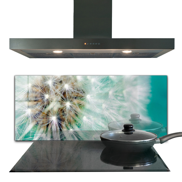 Spatplaat keuken Paardenbloem in de windplant