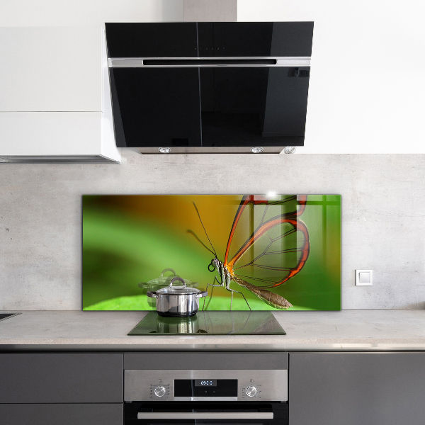 Keuken achterwand glas Vlinder op een blad
