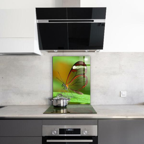 Keuken achterwand glas Vlinder op een blad
