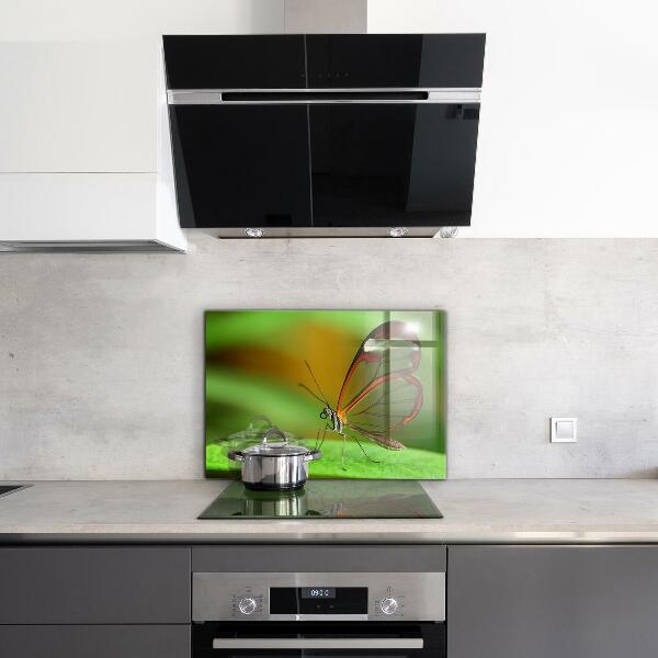 Keuken achterwand glas Vlinder op een blad