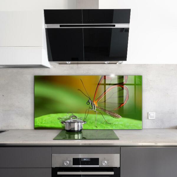 Keuken achterwand glas Vlinder op een blad