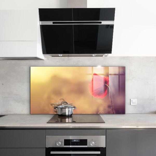 Keuken achterwand glas Vintage klaproosplant