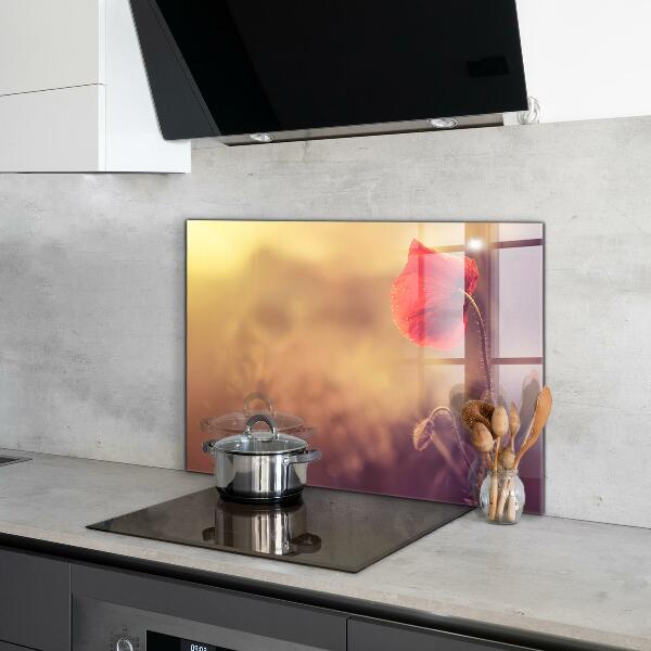 Keuken achterwand glas Vintage klaproosplant