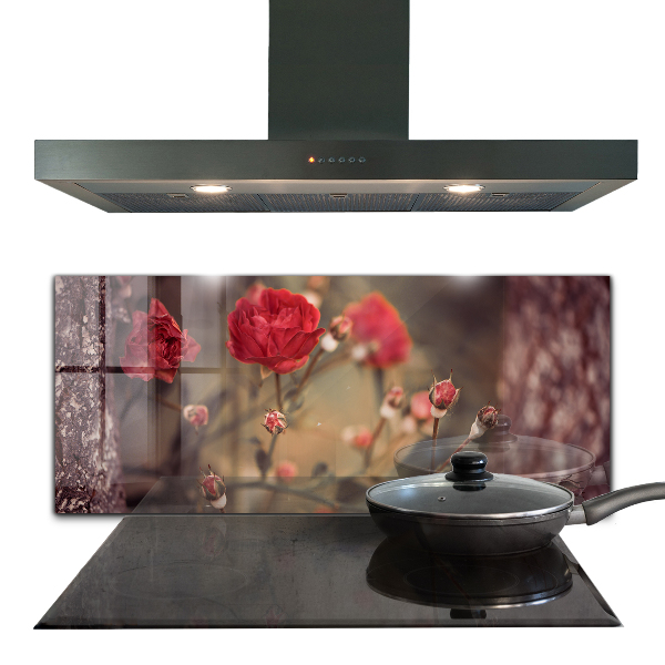 Spatscherm keuken glas Wilde roos in het park