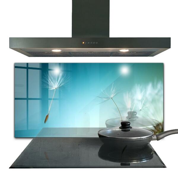 Spatscherm keuken glas Paardenbloem in de wind