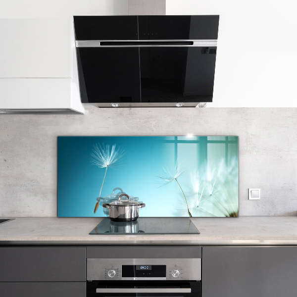 Spatscherm keuken glas Paardenbloem in de wind