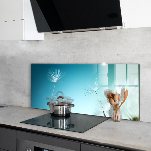 Spatscherm keuken glas Paardenbloem in de wind