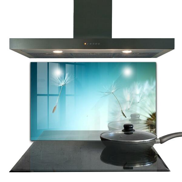 Spatscherm keuken glas Paardenbloem in de wind