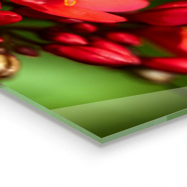 Keuken achterwand glas Bloeiende bloemknoppen