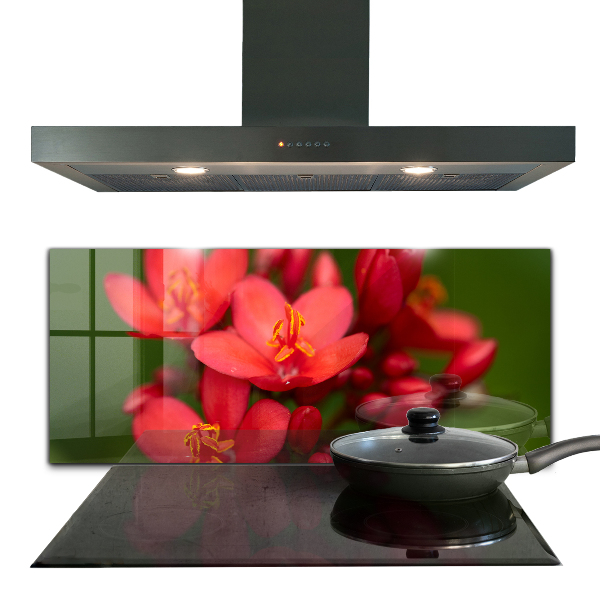 Keuken achterwand glas Bloeiende bloemknoppen