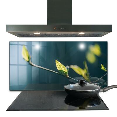 Spatplaat keuken Glanzend blad aan een tak