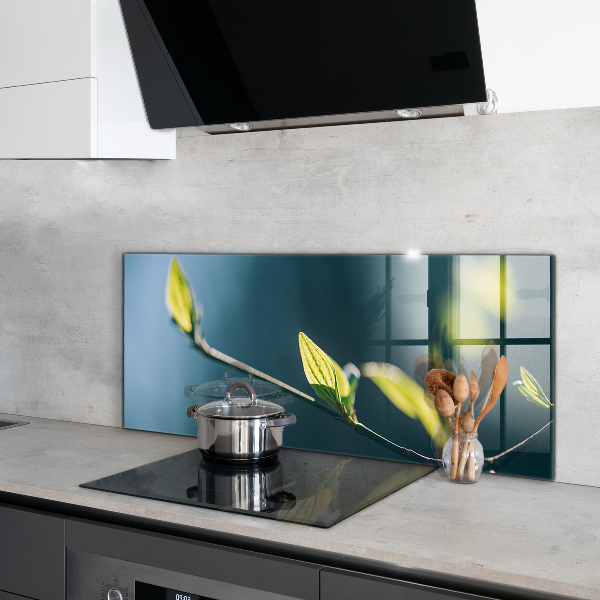 Spatplaat keuken Glanzend blad aan een tak