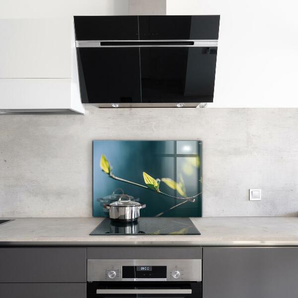 Spatplaat keuken Glanzend blad aan een tak