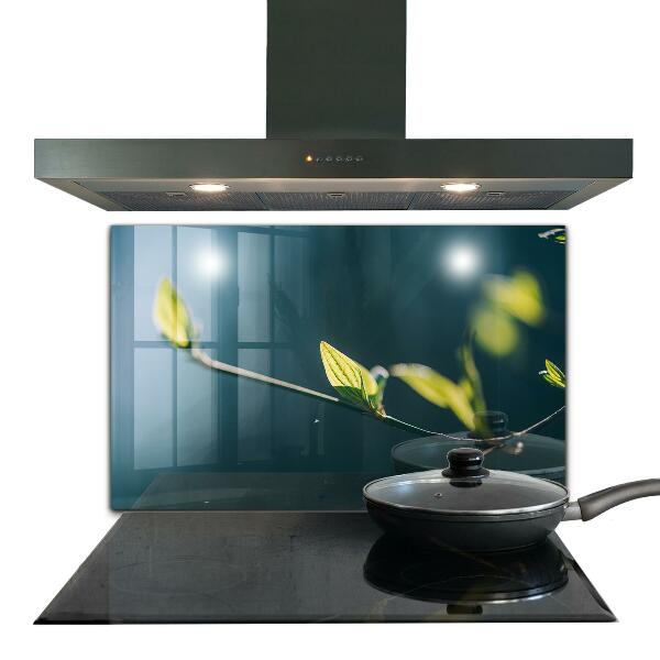 Spatplaat keuken Glanzend blad aan een tak