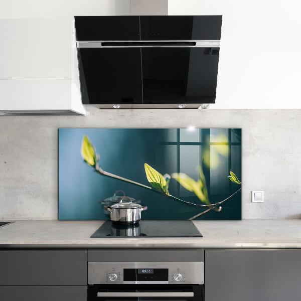 Spatplaat keuken Glanzend blad aan een tak