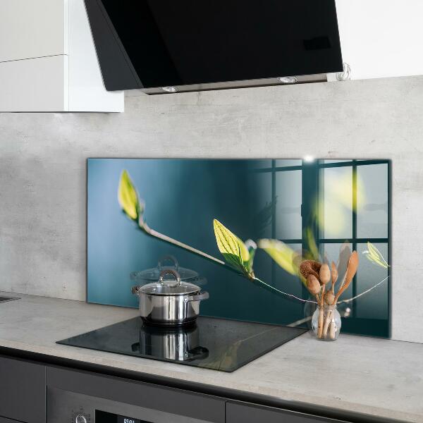 Spatplaat keuken Glanzend blad aan een tak