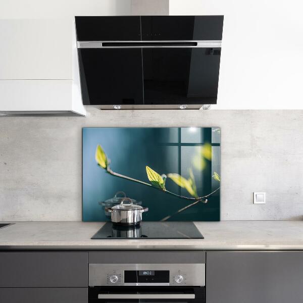 Spatplaat keuken Glanzend blad aan een tak