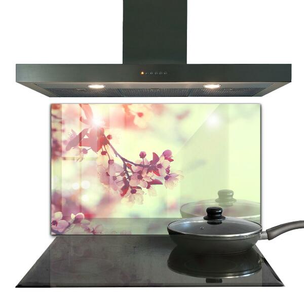 Spatscherm keuken glas Bloeiende roze boom
