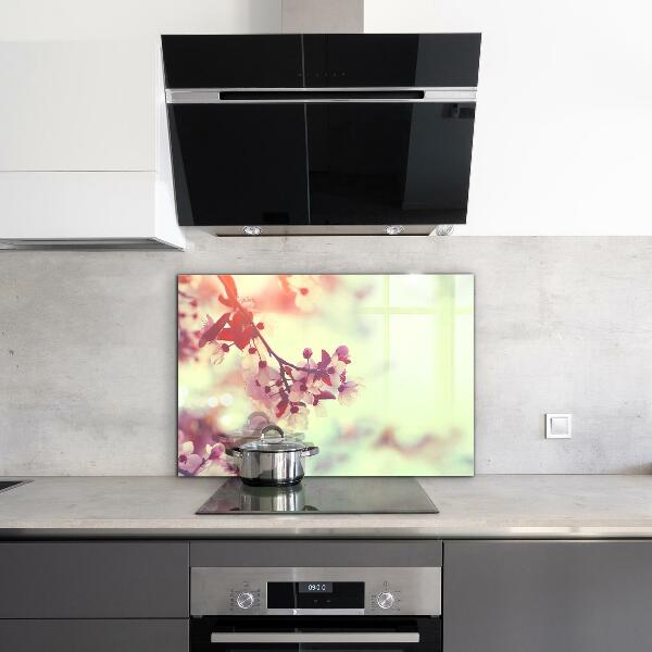 Spatscherm keuken glas Bloeiende roze boom